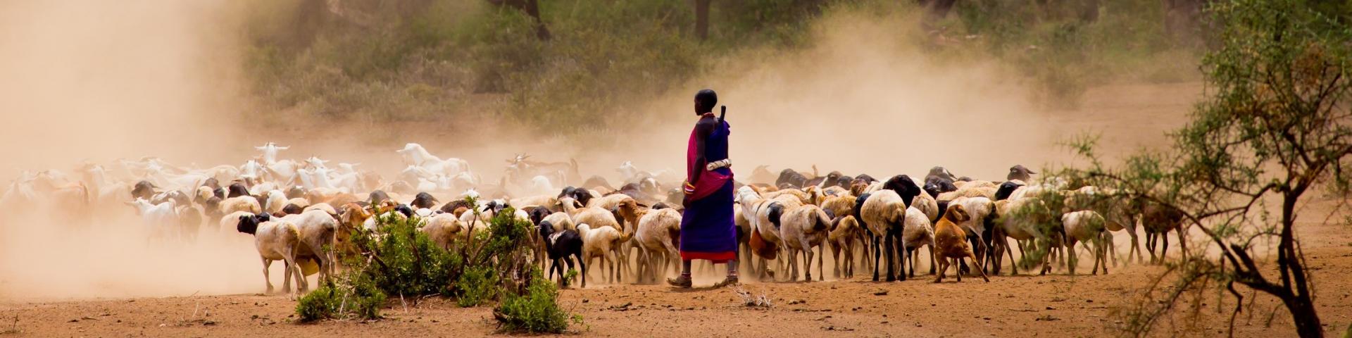 Z wizytą u Masajów - wspomnienia z Kenii i Tanzanii